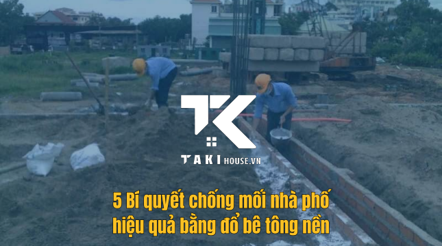 5 bí quyết chống mối nhà phố an toàn hiệu quả tận gốc - Takihouse